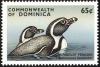 Colnect-5250-466-Humboldt-penguin.jpg