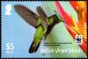 Colnect-5352-362-Antillean-Crested-Hummingbird-Orthorhyncus-cristatus.jpg