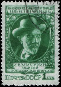 Rus_Stamp-Michurin_1949-1.jpg