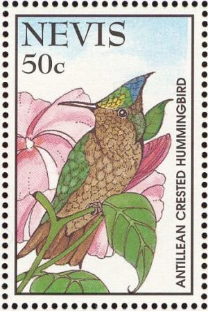 Colnect-1646-416-Antillean-Crested-Hummingbird-Orthorhyncus-cristatus.jpg