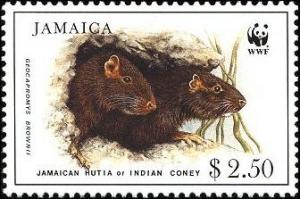 Colnect-1700-690-Jamaican-Hutia-Geocapromys-brownii.jpg