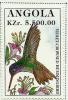 Colnect-2221-132-Violet-crowned-Hummingbird-Amazilia-violiceps.jpg