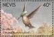 Colnect-1646-397-Antillean-Crested-Hummingbird-Orthorhyncus-cristatus.jpg