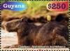 Colnect-3686-495-Capybara-Hydrochoerus-hydrochaeris.jpg