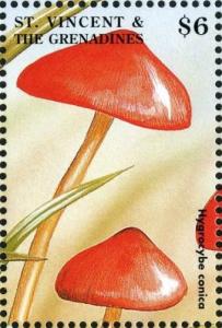 Colnect-1764-313-Hygrocybe-conica.jpg