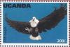 Colnect-1712-448-African-Fish-eagle-Haliaeetus-vocifer.jpg