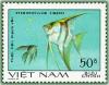 Colnect-480-325-Freshwater-Angelfish-Pterophyllum-eimekei-syn-scalare.jpg