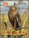 Colnect-5795-414-Western-Marsh-Harrier-Circus-aeruginosus.jpg