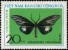 Colnect-5879-865-Burnet-Moth-Gynautocera-papilionaria.jpg