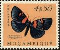 Colnect-4563-985-African-Peach-Moth-Egybolis-vaillantina.jpg