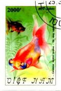Colnect-4829-894-Goldfish-Carassius-auratus-var.jpg
