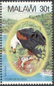 Colnect-864-274-African-Fish-Eagle-Haliaeetus-vocifer.jpg