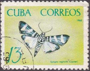 Colnect-1846-751-Moth-Sylepta-reginalis.jpg