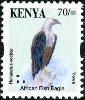 Colnect-4090-074-African-Fish-Eagle%C2%A0Haliaeetus-vocifer.jpg