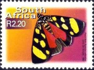 Colnect-514-459-African-Peach-Moth-Egybolis-vaillantina.jpg
