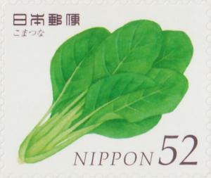 Colnect-5916-305-Mustard-Spinach-Brassica-rapa-var-perviridis.jpg