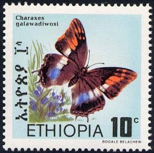 Skap-ethiopia_05_bfly-moth.jpg-crop-400x399at11-8.jpg