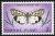 Skap-norfolk_is-01-bfly-moth.jpg-crop-193x130at207-9.jpg