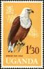 Colnect-4257-188-African-Fish-eagle-Haliaeetus-vocifer.jpg