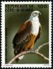 Colnect-2750-009-African-Fish-Eagle-Haliaeetus-vocifer.jpg