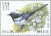 Colnect-187-700-Eurasian-Magpie-Pica-pica.jpg