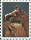 Colnect-5517-361-Darkbrown-Arabian-Horse-Equus-ferus-caballus.jpg