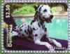 Colnect-6017-941-Dalmatian-and-Swimming-Pool.jpg