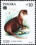 Colnect-1960-346-Eurasian-Otter-Lutra-lutra.jpg