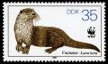 Colnect-1983-634-Eurasian-Otter-Lutra-lutra.jpg
