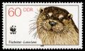 Colnect-1983-637-Eurasian-Otter-Lutra-lutra.jpg