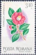 Colnect-741-344-Camellia-Camellia-japonica.jpg