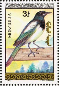 Colnect-860-485-Eurasian-Magpie-Pica-pica.jpg
