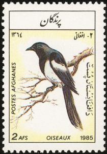 Colnect-1400-408-Eurasian-Magpie-Pica-pica.jpg