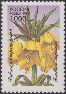 Colnect-1830-110-Crown-imperial-Fritillaria-imperialis.jpg