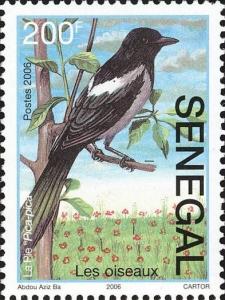 Colnect-2226-406-Eurasian-Magpie-Pica-pica.jpg
