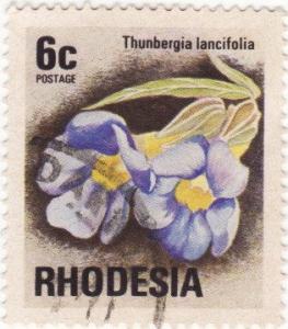 Colnect-1226-582-Thunbergia-Thunbergia-lancifolia.jpg