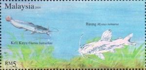 Colnect-3597-998-Walking-Catfish-Clarias-batrachus-Yellow-Catfish-Mystus-.jpg