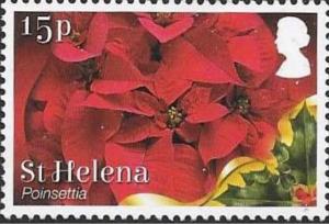 Colnect-4566-250-Poinsettia-Euphorbia-pulcherrima.jpg