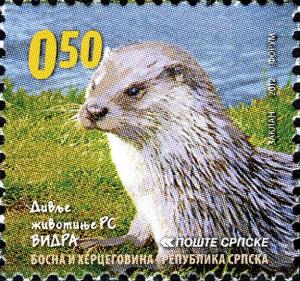 Colnect-4852-908-Eurasian-Otter-Lutra-lutra.jpg