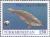 Stamps_of_Turkmenistan%2C_1993_-_Caspian_seal_%28Phoca_caspica%29_swimming.jpg