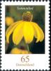 Colnect-4294-735-Rudbeckia-fulgida---Coneflower.jpg