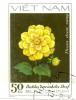Colnect-4823-878-Yellow-dahlias-Dahlia-variabilis-Desf.jpg