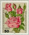 Colnect-155-506-Floribunda-Grandiflora.jpg