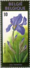Colnect-186-528-Flowers-Exhibition----Iris-florentina.jpg