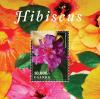 Colnect-3518-178-Hibiscus-mutabilis.jpg