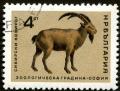 Colnect-1513-543-Siberian-Ibex-Capra-ibex-sibirica.jpg