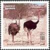 Colnect-1420-439-Ostrich-Struthio-camelus.jpg