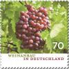 Colnect-4345-680-Viniculture-in-Germany.jpg