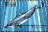Colnect-4698-204-Atlantic-humpbacked-dolphin.jpg