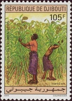 Colnect-1381-642-Picking-Sugarcane.jpg